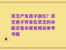 灵芝产生孢子部位？灵芝孢子究竟在灵芝的伞面还是伞底有相关参考书籍