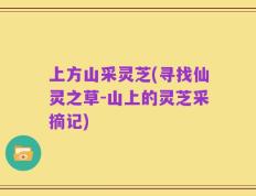 上方山采灵芝(寻找仙灵之草-山上的灵芝采摘记)