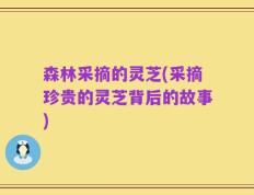 森林采摘的灵芝(采摘珍贵的灵芝背后的故事)