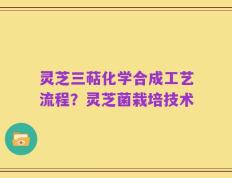 灵芝三萜化学合成工艺流程？灵芝菌栽培技术