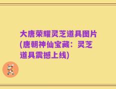 大唐荣耀灵芝道具图片(唐朝神仙宝藏：灵芝道具震撼上线)