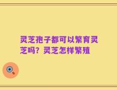 灵芝孢子都可以繁育灵芝吗？灵芝怎样繁殖