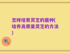 怎样培育灵芝的菌种(培养高质量灵芝的方法)
