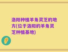 洛阳种植羊角灵芝的地方(位于洛阳的羊角灵芝种植基地)