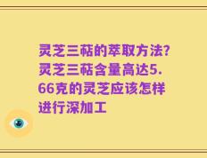 灵芝三萜的萃取方法？灵芝三萜含量高达5.66克的灵芝应该怎样进行深加工