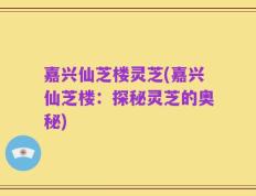 嘉兴仙芝楼灵芝(嘉兴仙芝楼：探秘灵芝的奥秘)