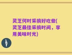 灵芝何时采摘好吃些(灵芝最佳采摘时间，享用美味时光)