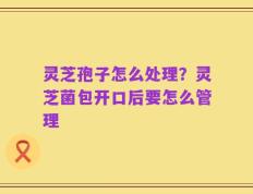 灵芝孢子怎么处理？灵芝菌包开口后要怎么管理