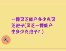 一棵灵芝能产多少克灵芝孢子(灵芝一棵能产生多少克孢子？)
