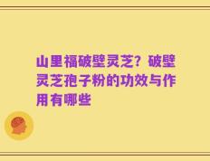 山里福破壁灵芝？破壁灵芝孢子粉的功效与作用有哪些