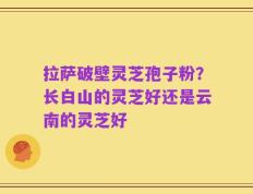 拉萨破壁灵芝孢子粉？长白山的灵芝好还是云南的灵芝好