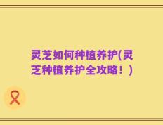 灵芝如何种植养护(灵芝种植养护全攻略！)