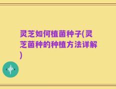 灵芝如何植菌种子(灵芝菌种的种植方法详解)