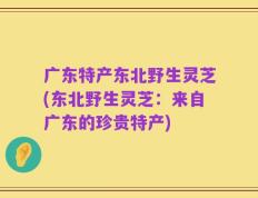 广东特产东北野生灵芝(东北野生灵芝：来自广东的珍贵特产)