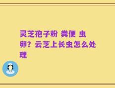 灵芝孢子粉 粪便 虫卵？云芝上长虫怎么处理