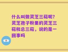 什么叫做灵芝三萜呢？灵芝孢子粉里的灵芝三萜和总三萜，说的是一回事吗