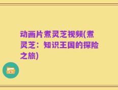 动画片煮灵芝视频(煮灵芝：知识王国的探险之旅)