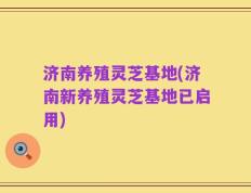 济南养殖灵芝基地(济南新养殖灵芝基地已启用)