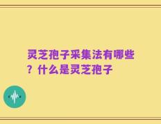 灵芝孢子采集法有哪些？什么是灵芝孢子