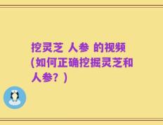 挖灵芝 人参 的视频(如何正确挖掘灵芝和人参？)