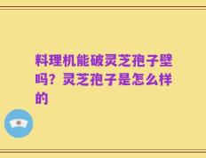 料理机能破灵芝孢子壁吗？灵芝孢子是怎么样的