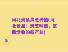 河北景县灵芝种植(河北景县：灵芝种植，富民增收的新产业)