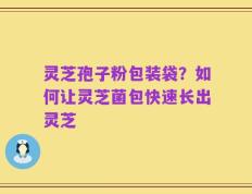灵芝孢子粉包装袋？如何让灵芝菌包快速长出灵芝