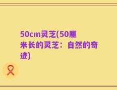 50cm灵芝(50厘米长的灵芝：自然的奇迹)