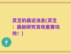 灵芝的最近消息(灵芝：最新研究发现重要功效！)