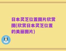 日本灵芝位置图片欣赏图(欣赏日本灵芝位置的美丽图片)