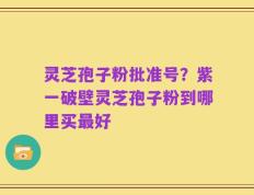 灵芝孢子粉批准号？紫一破壁灵芝孢子粉到哪里买最好