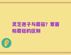 灵芝孢子与蘑菇？蕈菌和蘑菇的区别
