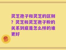 灵芝孢子和灵芝的区别？灵芝和灵芝孢子粉的关系到底是怎么样的谁更好