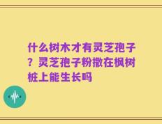 什么树木才有灵芝孢子？灵芝孢子粉撒在枫树桩上能生长吗