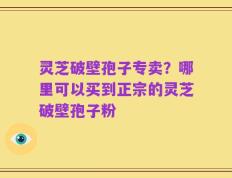 灵芝破壁孢子专卖？哪里可以买到正宗的灵芝破壁孢子粉