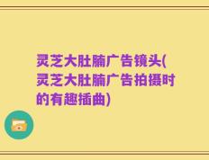 灵芝大肚腩广告镜头(灵芝大肚腩广告拍摄时的有趣插曲)