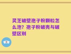 灵芝破壁孢子粉颗粒怎么泡？孢子粉破壳与破壁区别