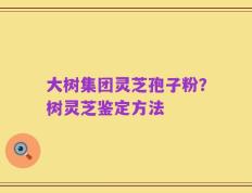 大树集团灵芝孢子粉？树灵芝鉴定方法
