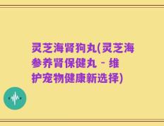 灵芝海肾狗丸(灵芝海参养肾保健丸 - 维护宠物健康新选择)