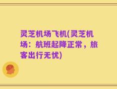 灵芝机场飞机(灵芝机场：航班起降正常，旅客出行无忧)