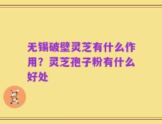 无锡破壁灵芝有什么作用？灵芝孢子粉有什么好处