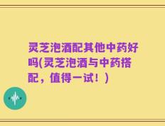 灵芝泡酒配其他中药好吗(灵芝泡酒与中药搭配，值得一试！)