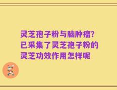 灵芝孢子粉与脑肿瘤？已采集了灵芝孢子粉的灵芝功效作用怎样呢