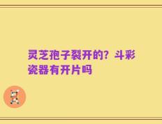 灵芝孢子裂开的？斗彩瓷器有开片吗