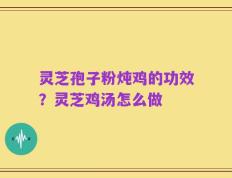 灵芝孢子粉炖鸡的功效？灵芝鸡汤怎么做