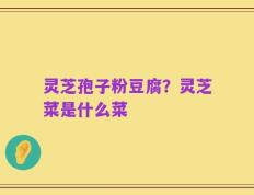 灵芝孢子粉豆腐？灵芝菜是什么菜