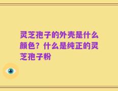 灵芝孢子的外壳是什么颜色？什么是纯正的灵芝孢子粉