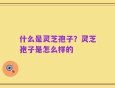 什么是灵芝孢子？灵芝孢子是怎么样的