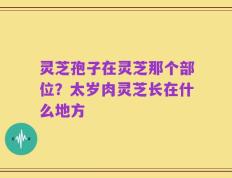 灵芝孢子在灵芝那个部位？太岁肉灵芝长在什么地方