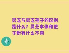 灵芝与灵芝孢子的区别是什么？灵芝本体和孢子粉有什么不同